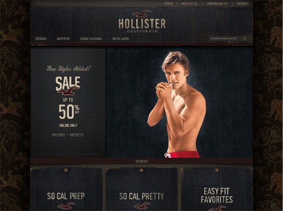 hollister co website