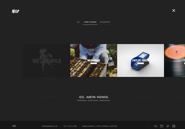 Portfolio website: WILD