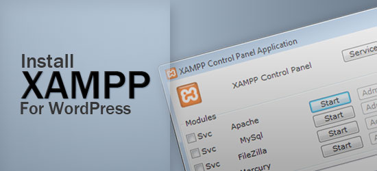 Using XAMPP for Local WordPress Theme Development - leading image.