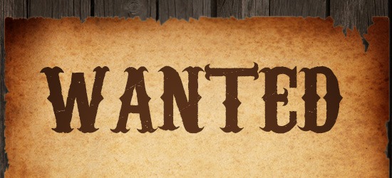 Essay writer needed