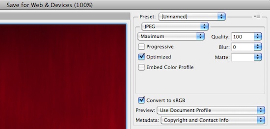 Entering the Save for Web Dialog