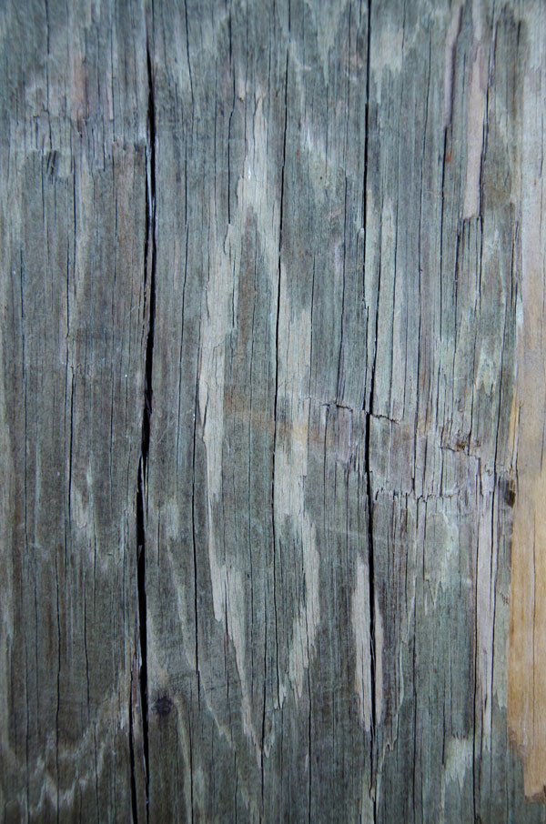 Wood Grain Texture Pack