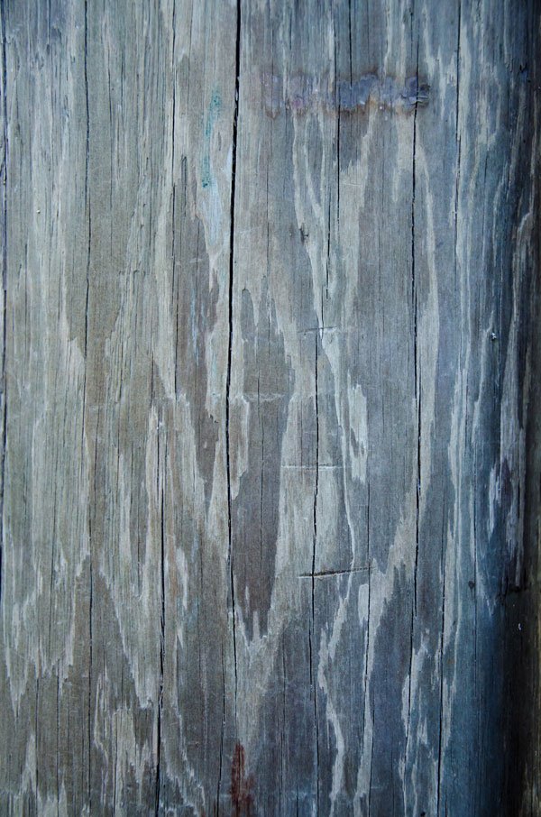 Wood Grain Texture Pack