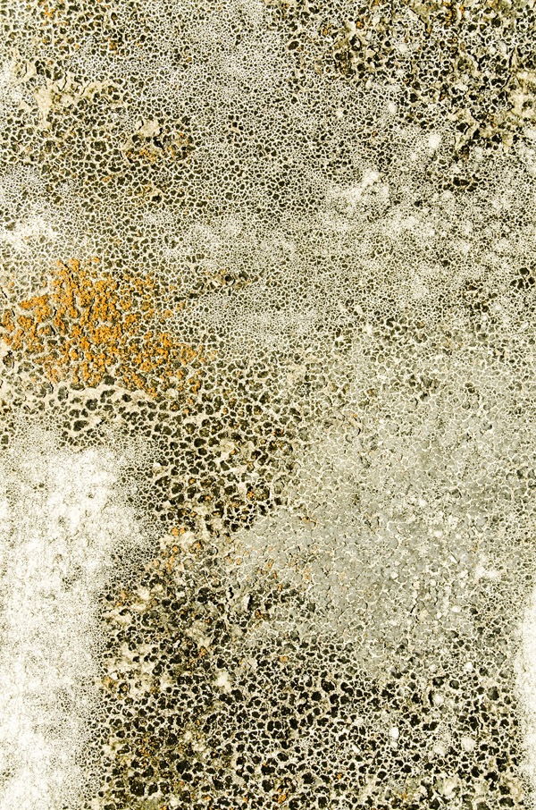 8 Free Distressed Wall Textures WebFX