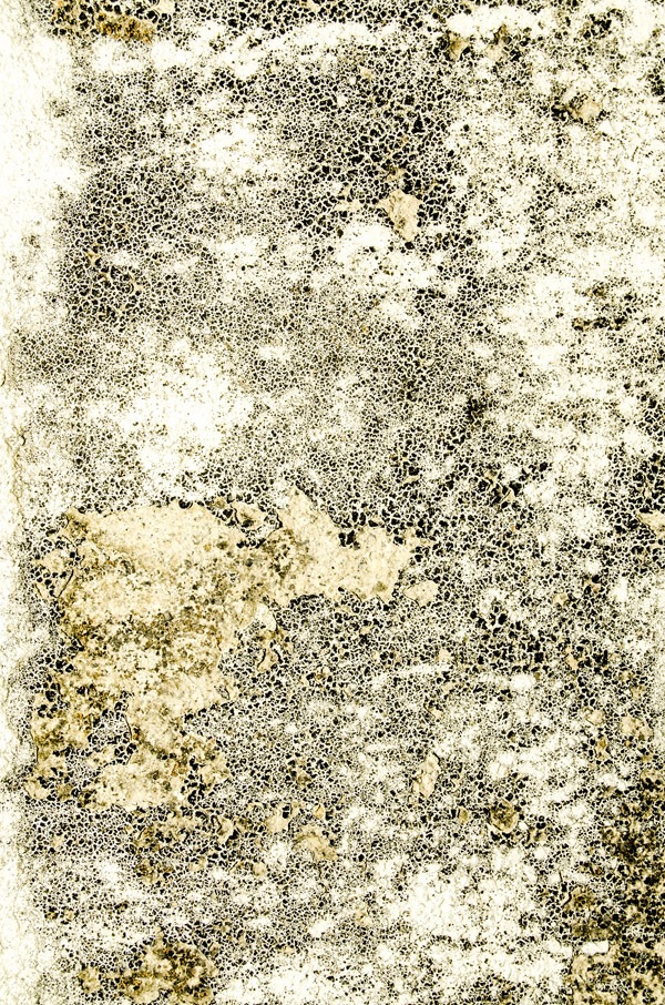 8 Free Distressed Wall Textures WebFX