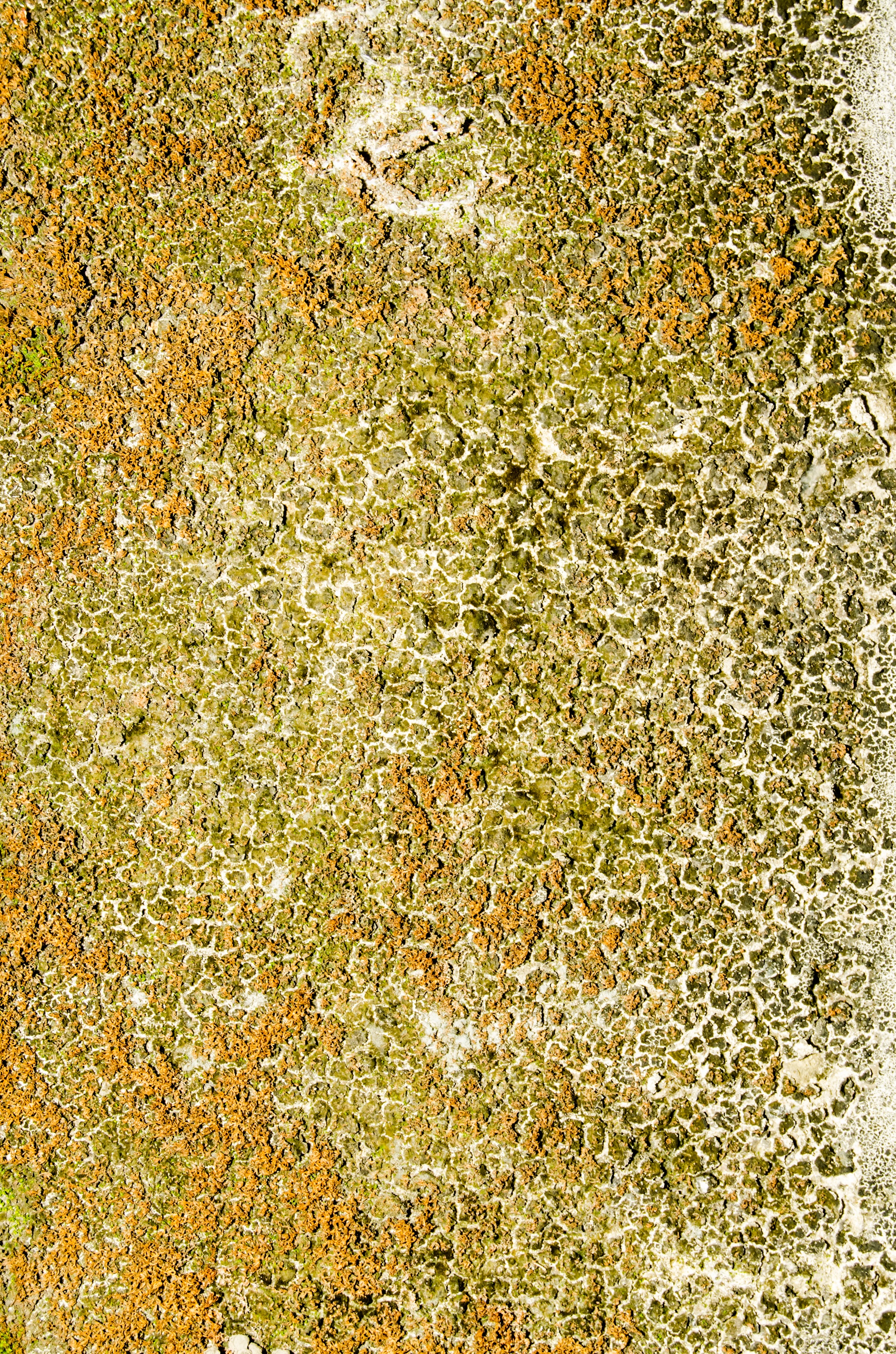 8 Free Distressed Wall Textures | WebFX