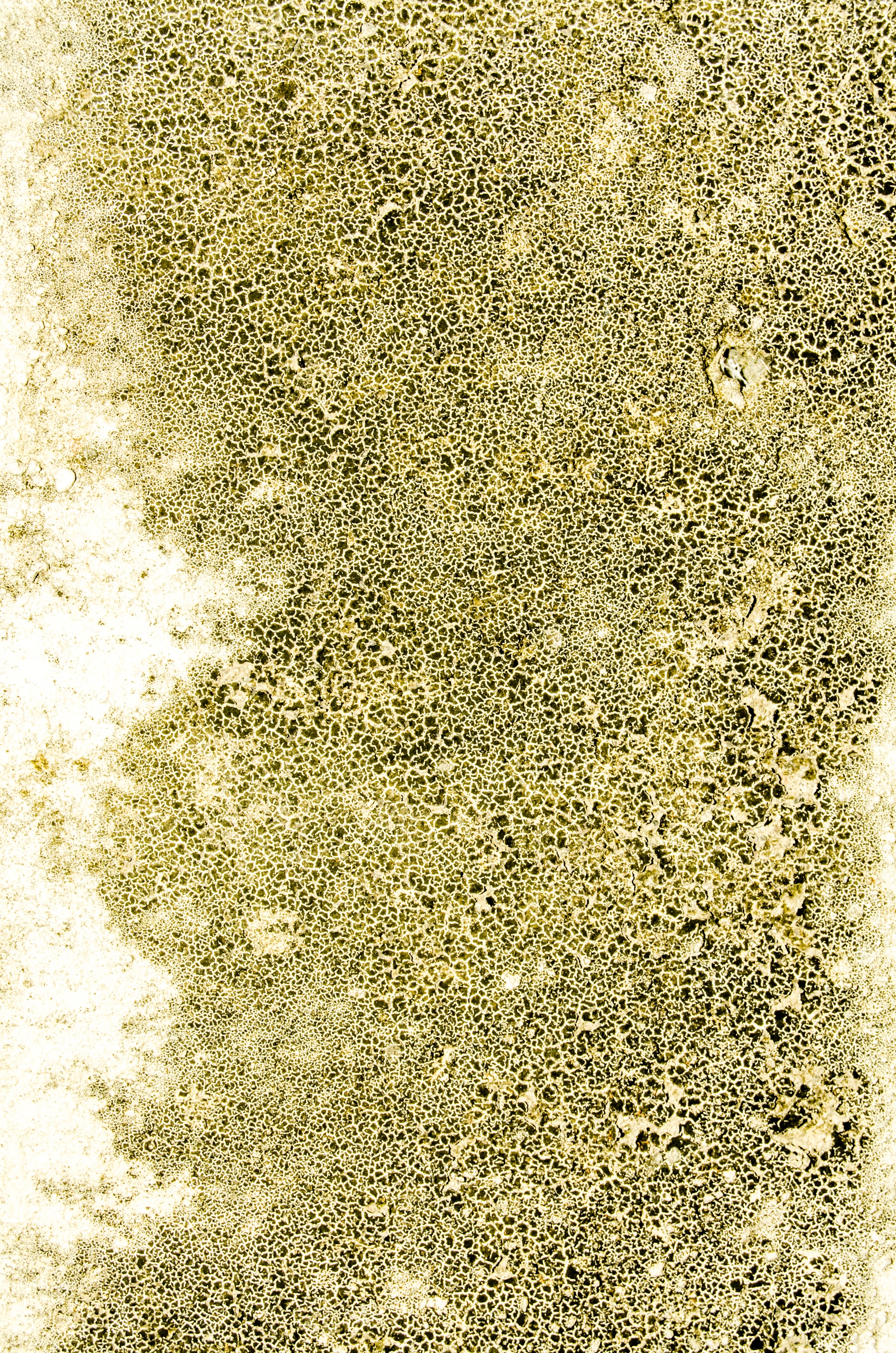 8 Free Distressed Wall Textures WebFX