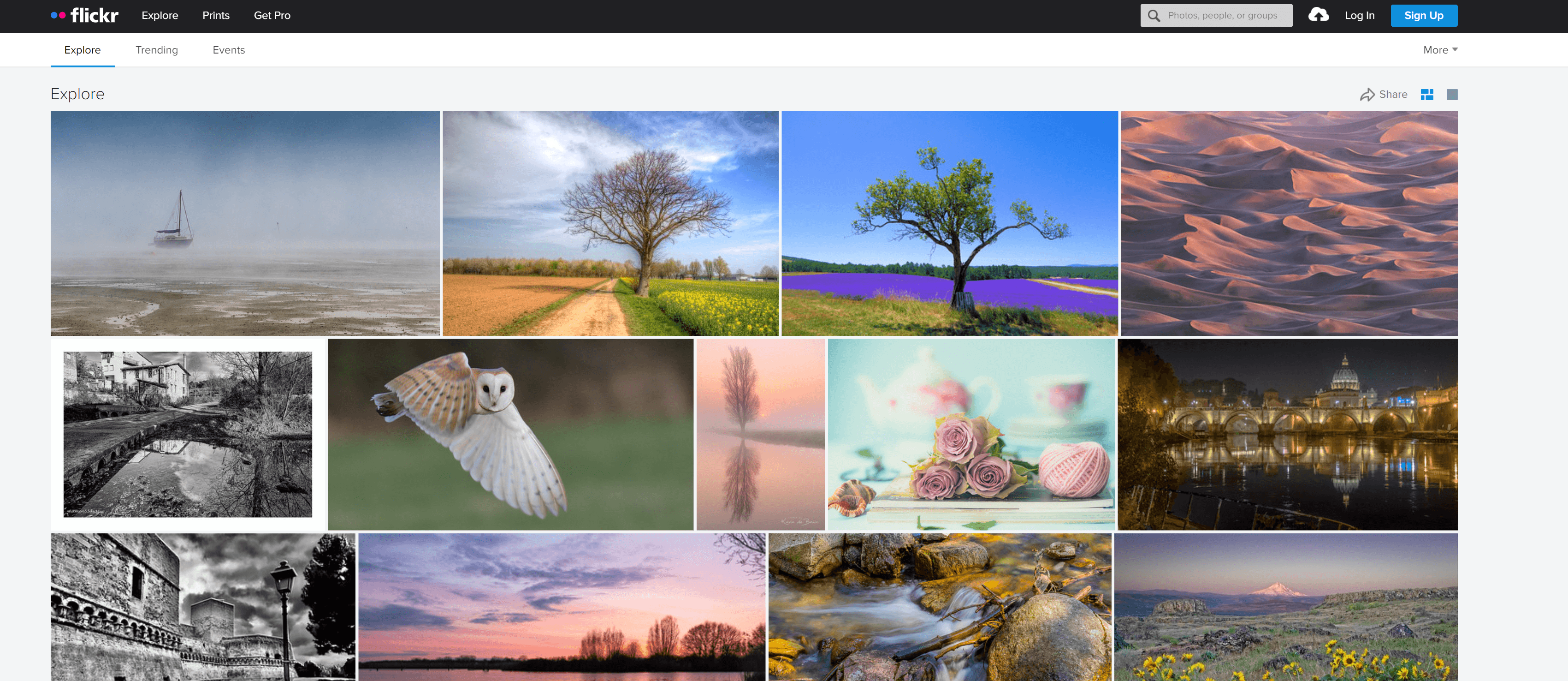 Flickr photo and video portfolio