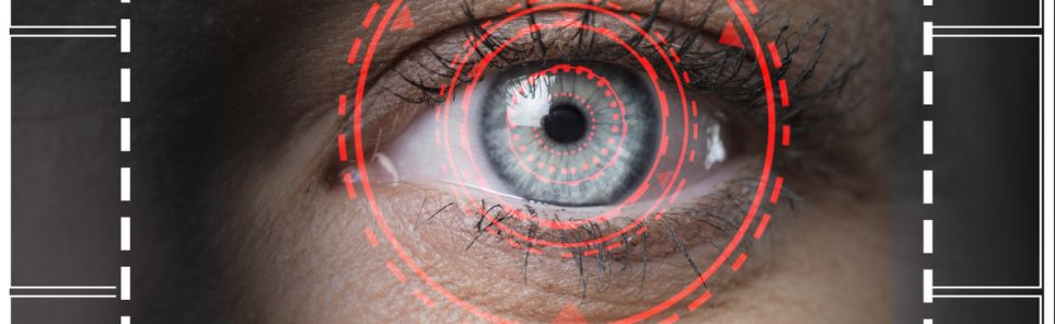 retina biometric scan