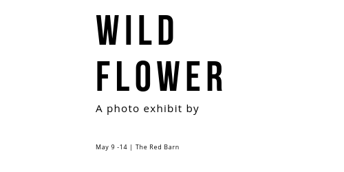 typography example wild flower