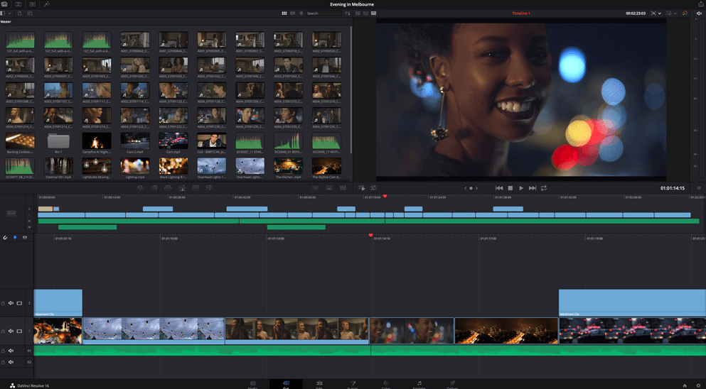 davinci resolve