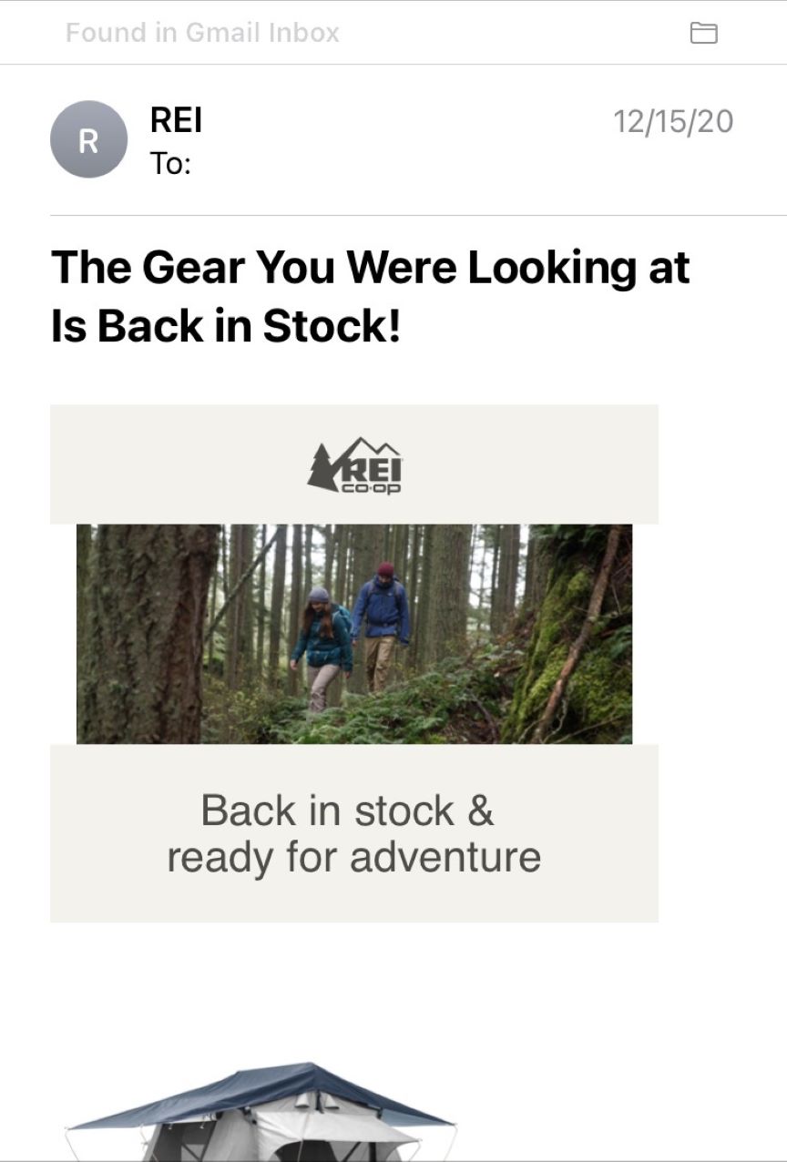 REI lead nurturing email