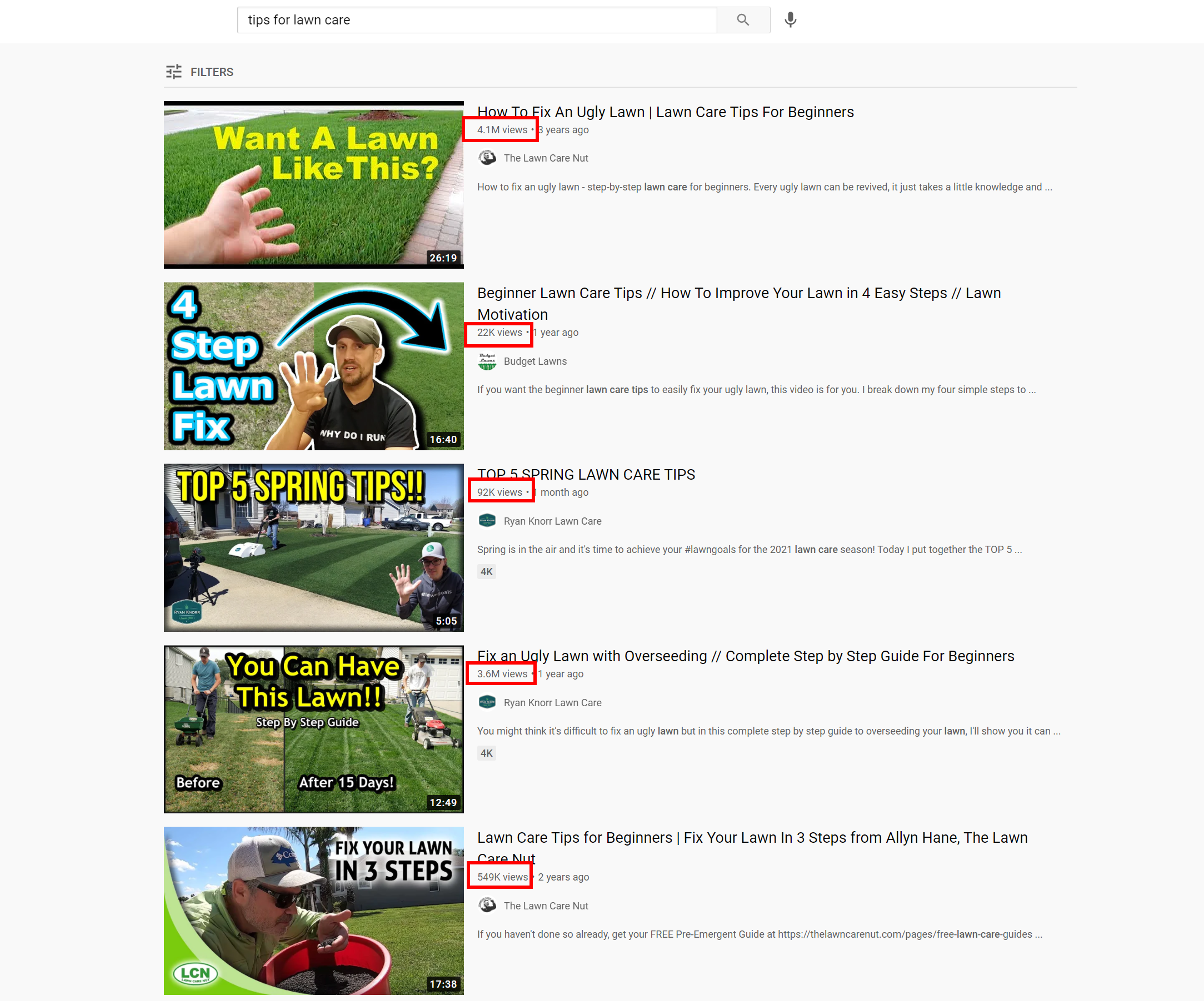 A YouTube search for lawn care tips