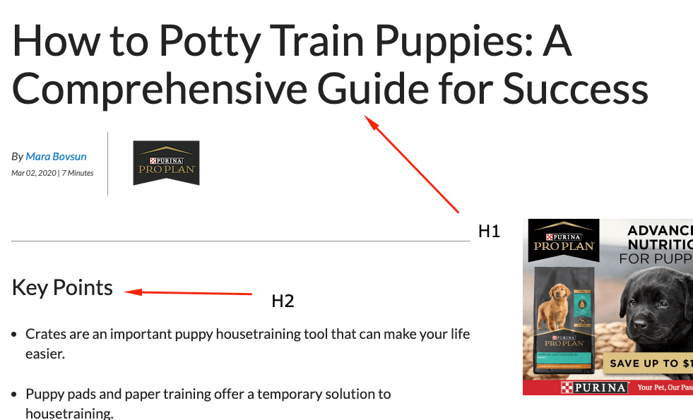 Heading at the top of a page about how to train puppies