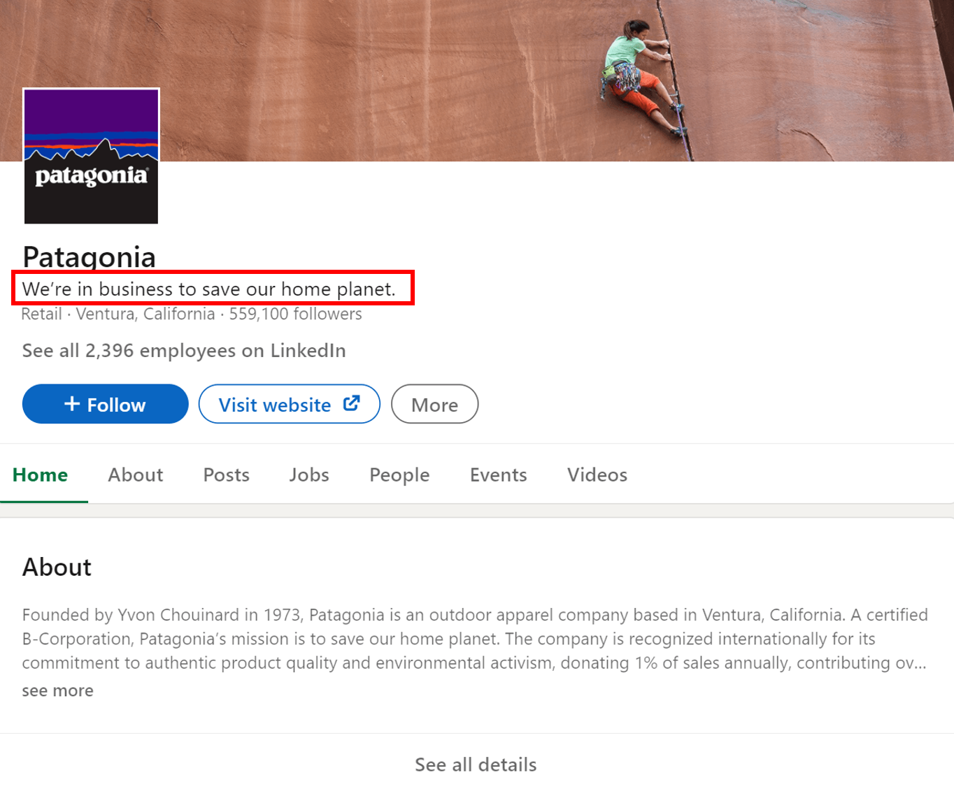 Patagonia LinkedIn tagline