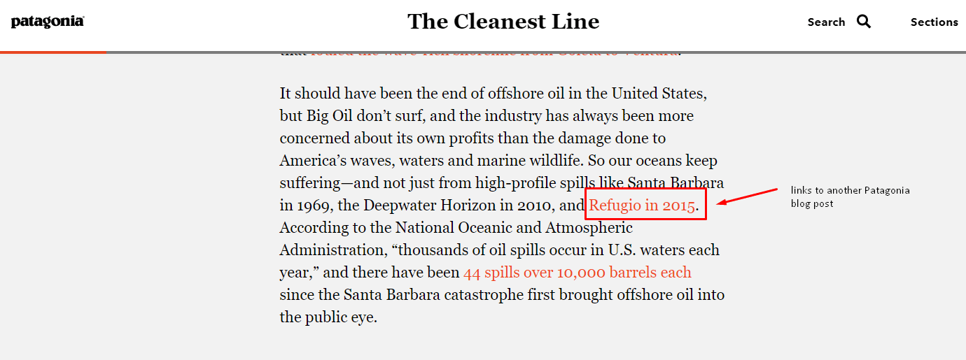 screenshot of patagonia blog post