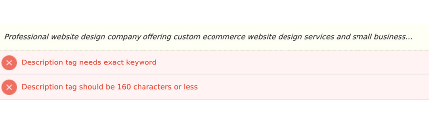 The meta tag results from an SEO checker tool