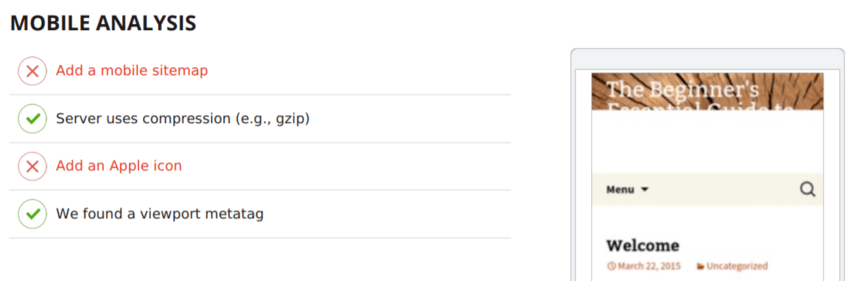 Results from SEO checker's mobile test