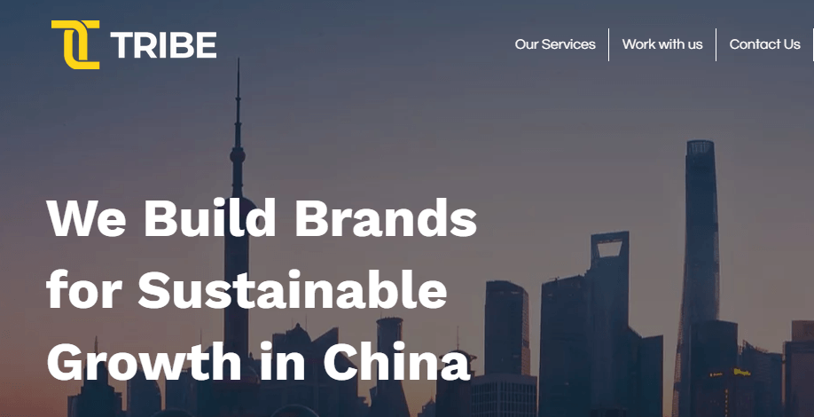 tribe digital marketing company