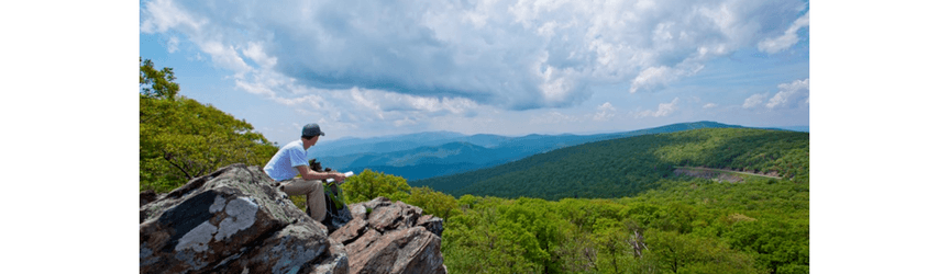 virginia