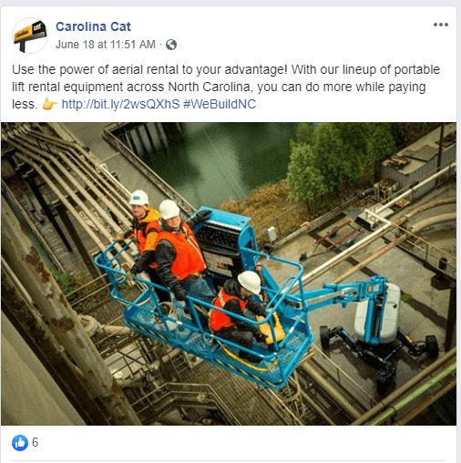 carolina cat facebook