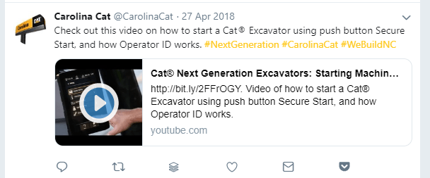 carolina cat video