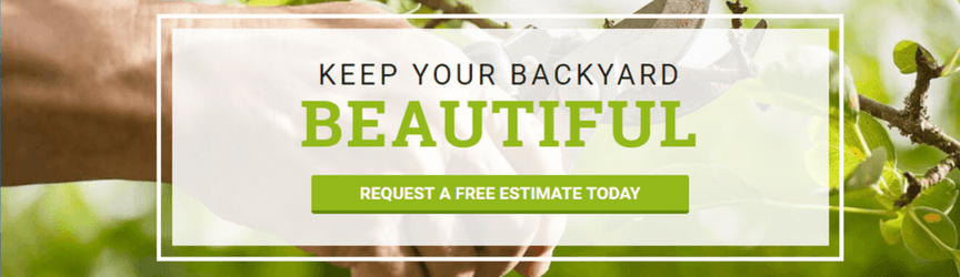 An example of a florist company's call to action on their website