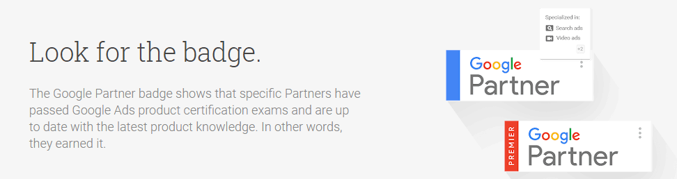 google premier partner