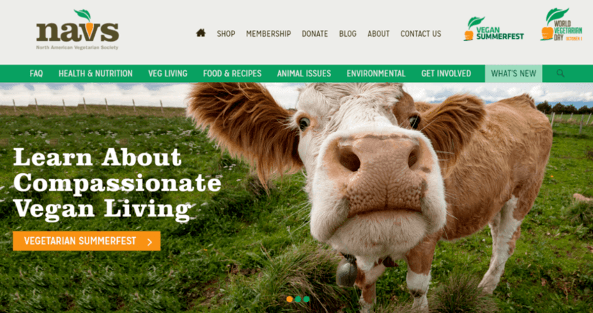 Web design example from NAVS