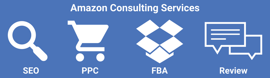 The types of services an Amazon consultant offers