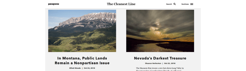 A screenshot of Patagonia's blog