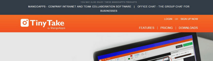 screenshot of tiny take homepage