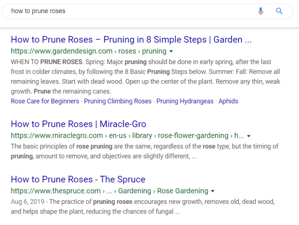 Web marketing example of SEO results