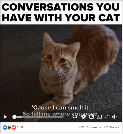 cat subtitles