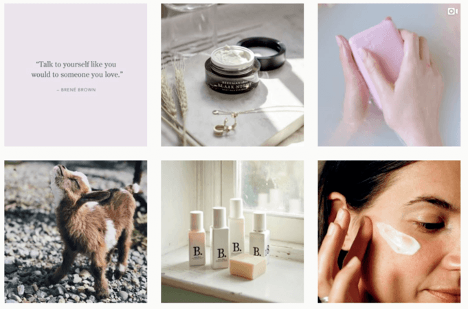 Diverse content on social media
