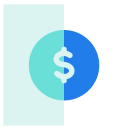 Coin Icon