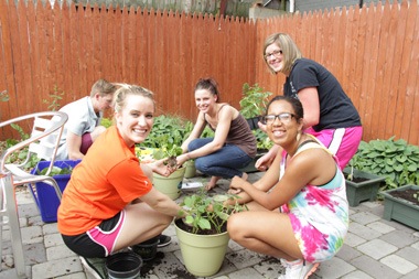 garden group