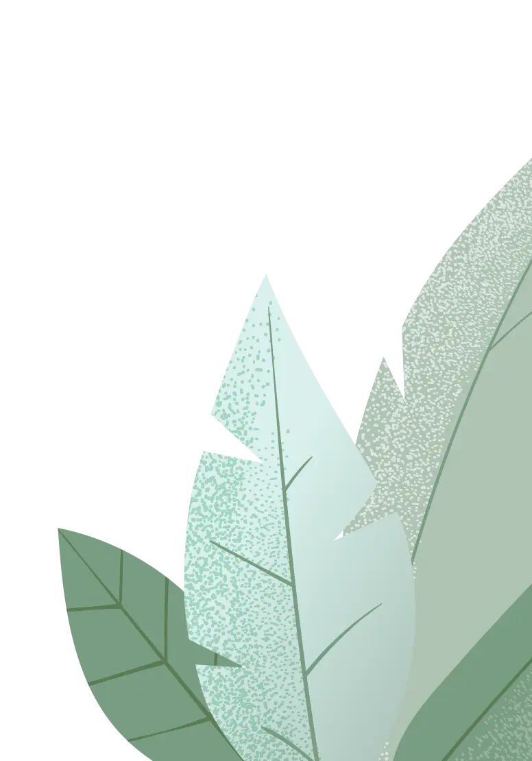 cta leaf