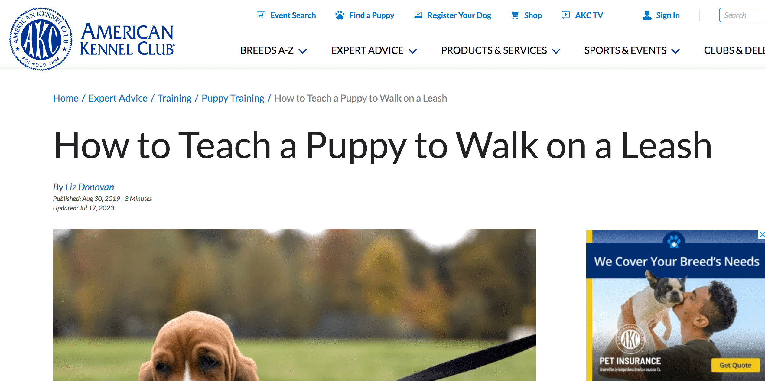 Blog post about how to teach a puppy to walk on a leash