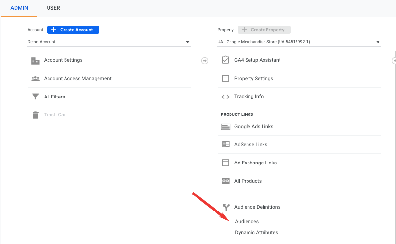 Google Analytics Audiences setting
