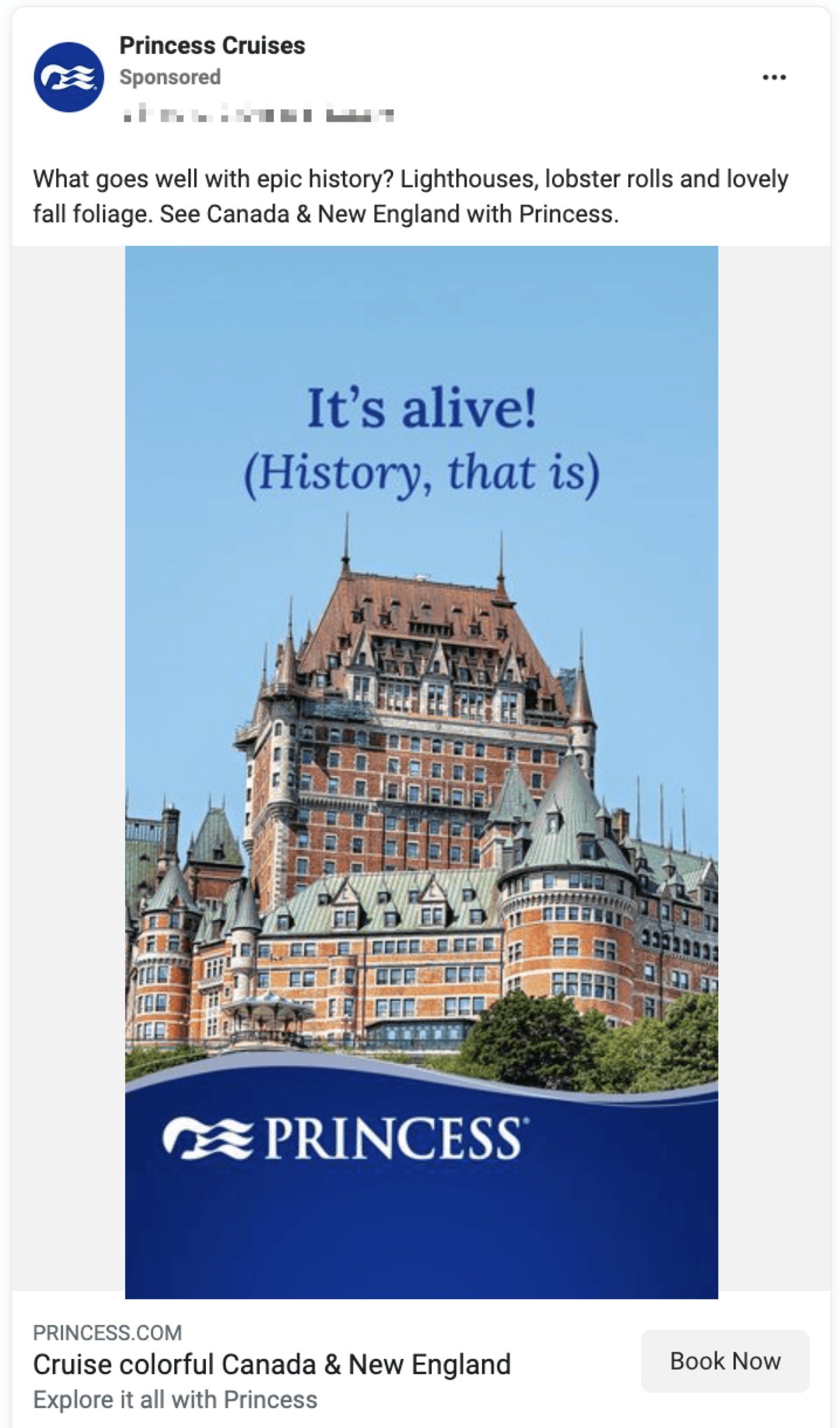 princess cruise line facebook image ad