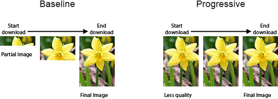 Baseline JPEG vs. Progressive JPEG