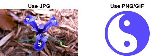 When JPEG Should Be Avoided