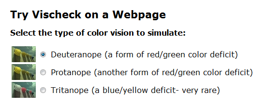 0138 09 color vision