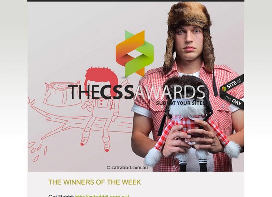 0139 03 cssawards