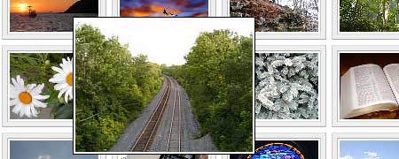 A collage of various images including a cyclist silhouette at sunset, white daisies, a railway through a forest, frost patterns on glass, and an open book.