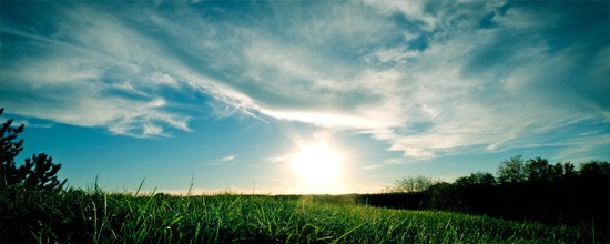 Sunset In The Grass