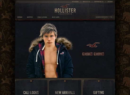 Hollister Co.