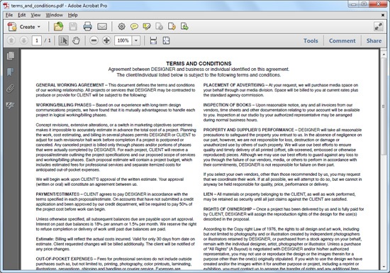0235 02 terms conditions example contract