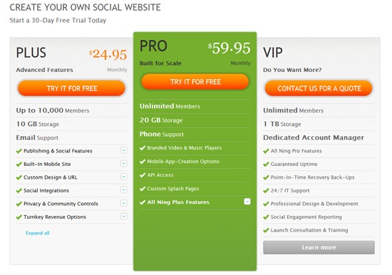 Pricing table example: Ning